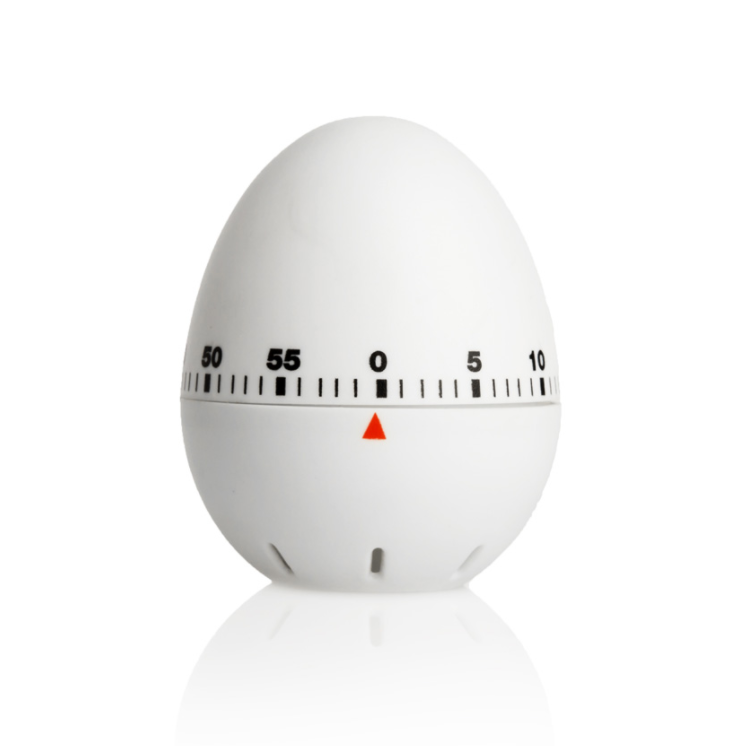 Labor Pro Timer Uovo