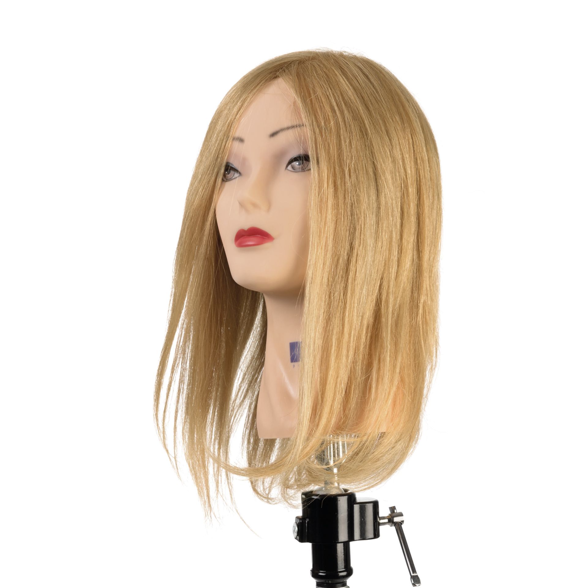 Testa Studio Biondo Chiaro 30cm 100% Capelli Veri